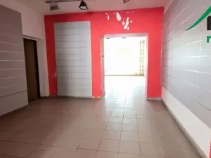 Prodej obchodního prostoru, Tachov, K Náměstí, 330 m2