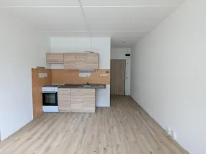 Pronájem bytu 1+1, Klášterec nad Ohří, Lípová, 35 m2
