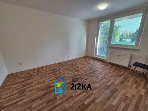 Pronájem bytu 1+1, Brno, Voříškova, 35 m2