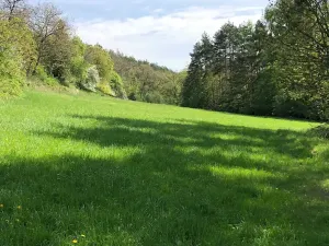 Prodej louky, Praha - Nebušice, U Gabrielky, 24023 m2