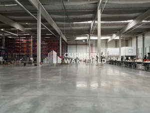 Prodej skladu, Nová Paka, 9000 m2
