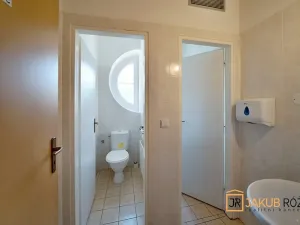 Prodej komerčního pozemku, Heřmánkovice, 40632 m2