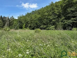 Prodej louky, Bílovice nad Svitavou, 3200 m2