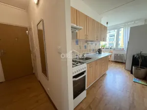 Pronájem bytu 2+1, Chomutov, Kostnická, 61 m2