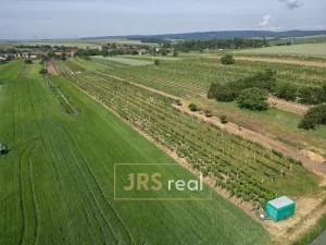 Prodej pozemku, Trboušany, 1135 m2