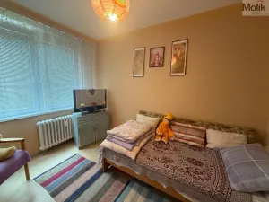 Pronájem bytu 4+1, Litvínov - Janov, Luční, 83 m2