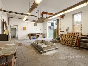 Pronájem skladu, Děčín, Rudolfova, 225 m2