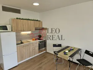 Pronájem bytu 1+kk, Nový Jičín - Loučka, Jičínská, 32 m2