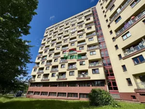 Prodej bytu 1+kk, Litvínov - Horní Litvínov, Koldům, 27 m2