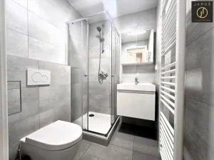 Pronájem bytu 1+kk, Praha - Smíchov, Svornosti, 18 m2