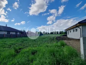 Prodej pozemku pro bydlení, Hoštice-Heroltice - Heroltice, 997 m2