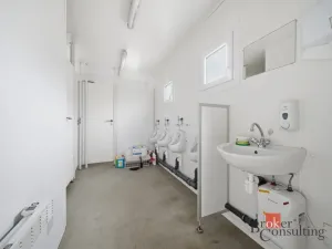 Pronájem skladu, Stěžery, 350 m2