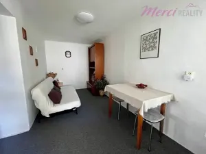 Prodej rodinného domu, Ostrožská Nová Ves, Dědina, 160 m2