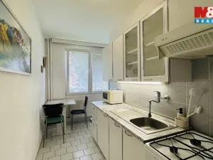 Pronájem bytu 2+1, České Budějovice - České Budějovice 3, Plzeňská, 50 m2