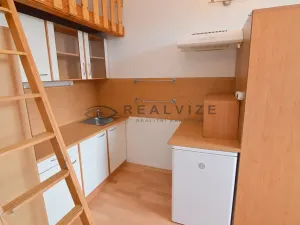 Pronájem bytu 1+kk, České Budějovice, Šumavská, 21 m2