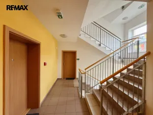 Pronájem bytu 1+kk, Písek - Budějovické Předměstí, Pažoutova, 53 m2