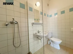 Pronájem bytu 3+1, Lety, 100 m2