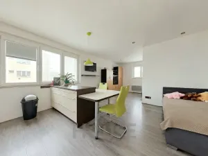 Prodej bytu 1+kk, Praha - Břevnov, Patočkova, 41 m2