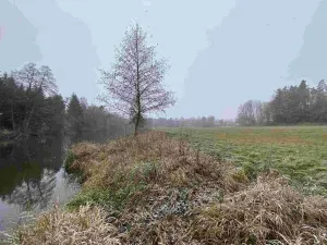 Prodej pozemku, Jindřichův Hradec - Horní Žďár, 16799 m2