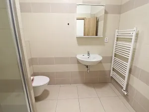 Pronájem bytu 2+kk, Horšovský Týn, Pivovarská, 50 m2