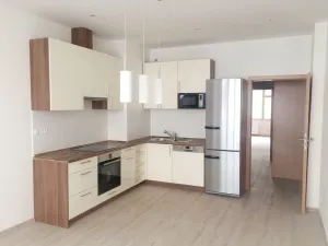 Prodej bytu 1+1, Praha - Karlín, Křižíkova, 45 m2