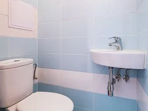 Pronájem bytu 2+1, České Budějovice - České Budějovice 5, Dobrovodská, 56 m2