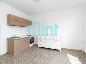 Pronájem bytu 3+kk, Ostrava, Bohumínská, 53 m2