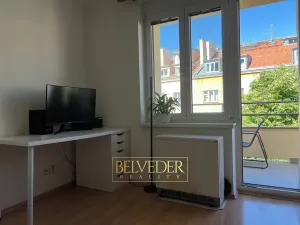Pronájem bytu 1+kk, Praha - Nusle, Bohuslava ze Švamberka, 25 m2