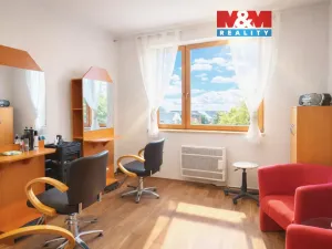 Pronájem obchodního prostoru, Ostrava - Mariánské Hory, 28. října, 25 m2