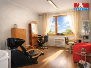 Pronájem obchodního prostoru, Ostrava - Mariánské Hory, 28. října, 25 m2