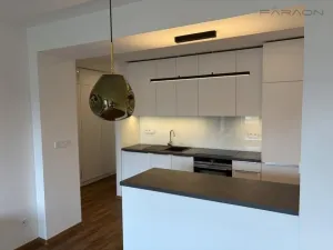 Pronájem bytu 3+kk, Praha - Žižkov, Pod lipami, 70 m2