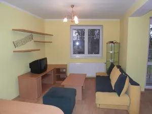 Pronájem bytu 2+kk, Vracov, Borová, 52 m2