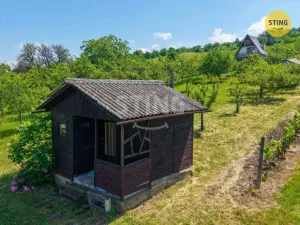 Prodej sadu/vinice, Strážnice, 4353 m2