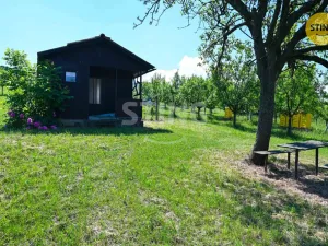 Prodej sadu/vinice, Strážnice, 4353 m2