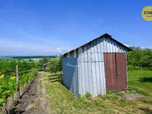 Prodej sadu/vinice, Strážnice, 4353 m2