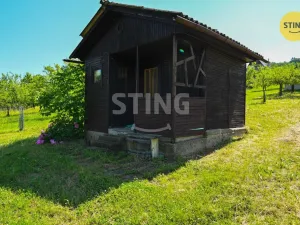 Prodej sadu/vinice, Strážnice, 4353 m2
