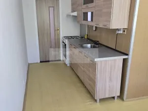 Pronájem bytu 1+1, Jirkov, Krušnohorská, 41 m2
