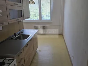 Pronájem bytu 1+1, Jirkov, Krušnohorská, 41 m2