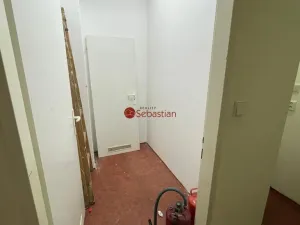 Pronájem komerční nemovitosti, Praha - Žižkov, Hartigova, 66 m2