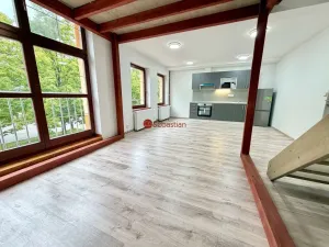 Pronájem bytu 1+kk, Litvínov - Horní Litvínov, náměstí Míru, 60 m2