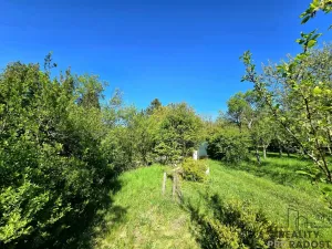 Prodej zahrady, Brno - Židenice, 847 m2