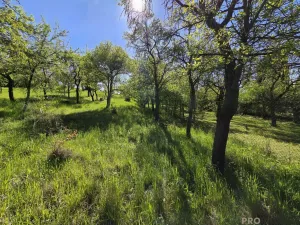 Prodej zahrady, Brno - Židenice, 847 m2