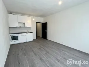 Pronájem bytu 1+kk, Vyškov - Dědice, Sídliště Osvobození, 29 m2