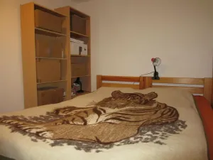 Pronájem bytu 2+kk, České Budějovice - České Budějovice 2, Netolická, 40 m2