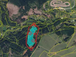 Prodej lesa, Dobřany, 12043 m2