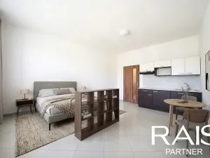 Prodej bytu 1+kk, Brno, 29 m2