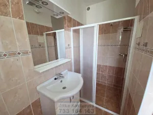 Prodej bytu 2+1, Opava - Předměstí, Sadová, 62 m2