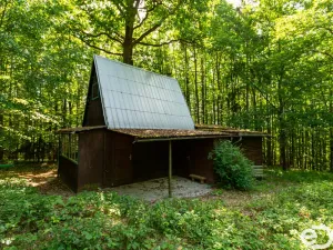 Prodej chaty, Kaliště - Lensedly, 41 m2