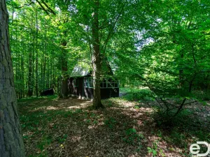 Prodej chaty, Kaliště - Lensedly, 41 m2