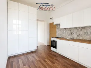 Pronájem bytu 1+1, Prostějov, Vojtěcha Outraty, 41 m2